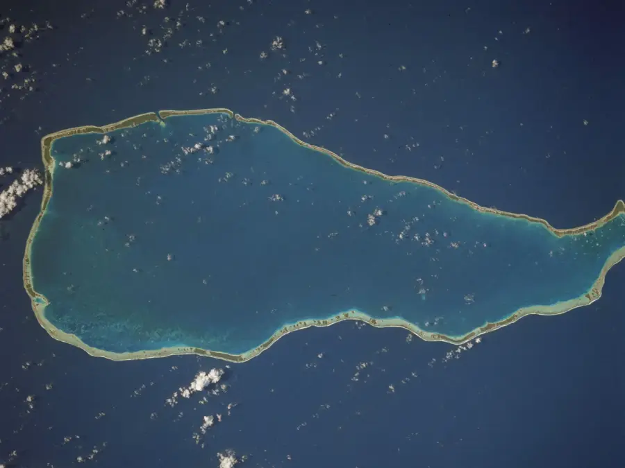 Rangiroa Vineyard