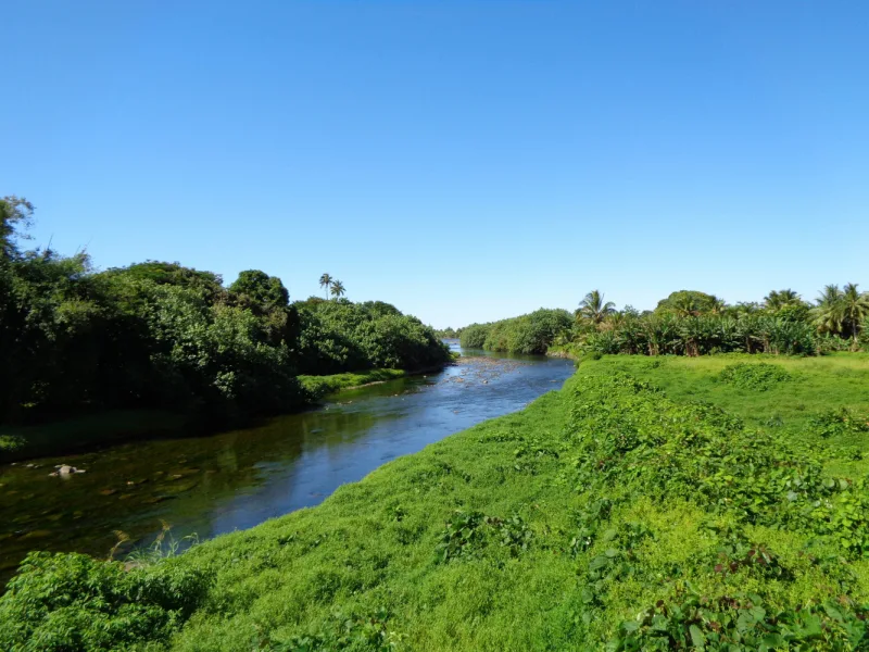 Taravao — Rangiroa Vineyard (French Polynesia)