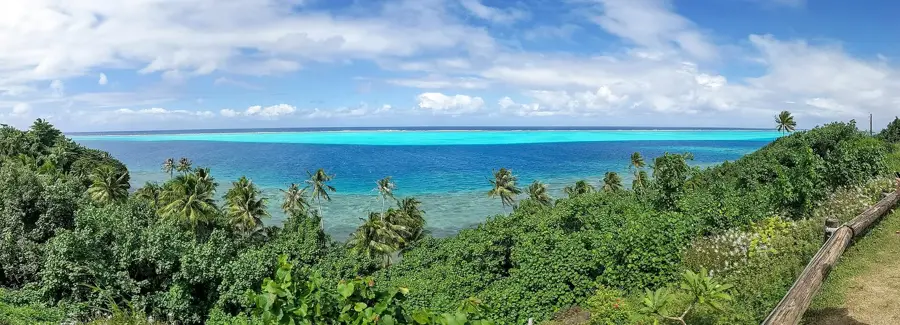 Tefarerii