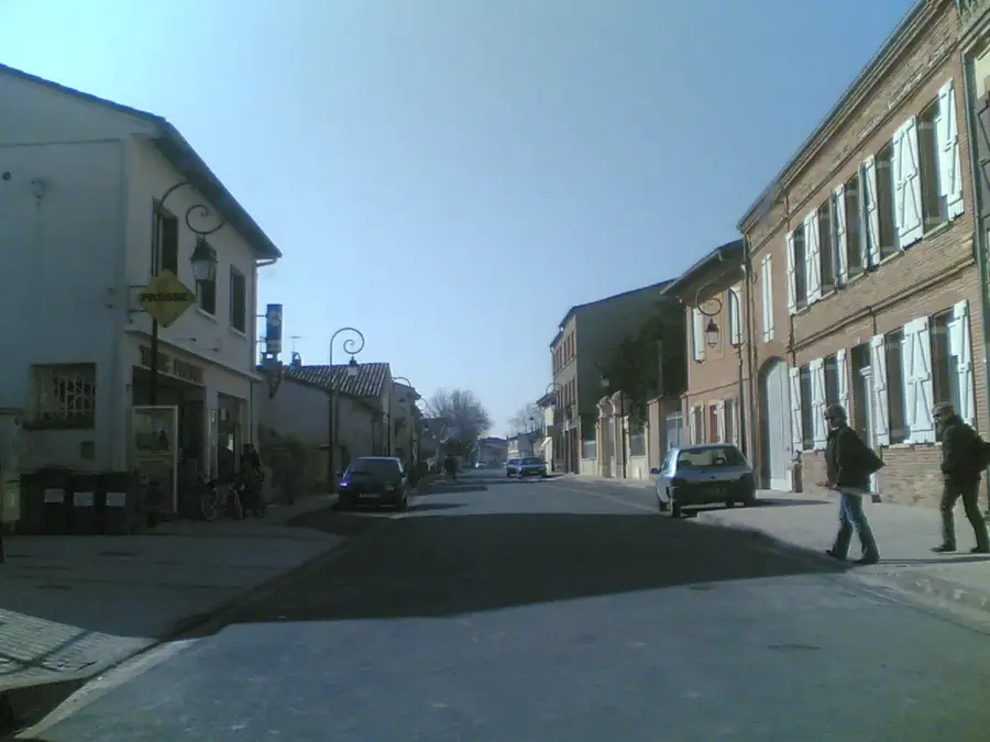 Frouzins – oraș