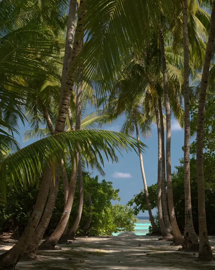 Fulhadhoo Strand — Baa-Atoll-Biosphärenreservat (Malediven)