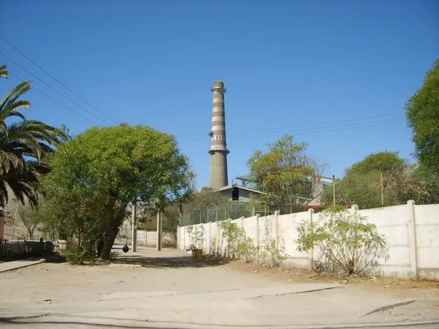 Topitoria Paipote — Parcul Național Pan de Azúcar (Chile)