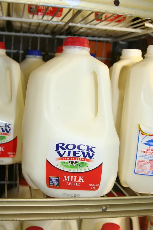 Dealurile Gallon Jug — Douglas (Belize)