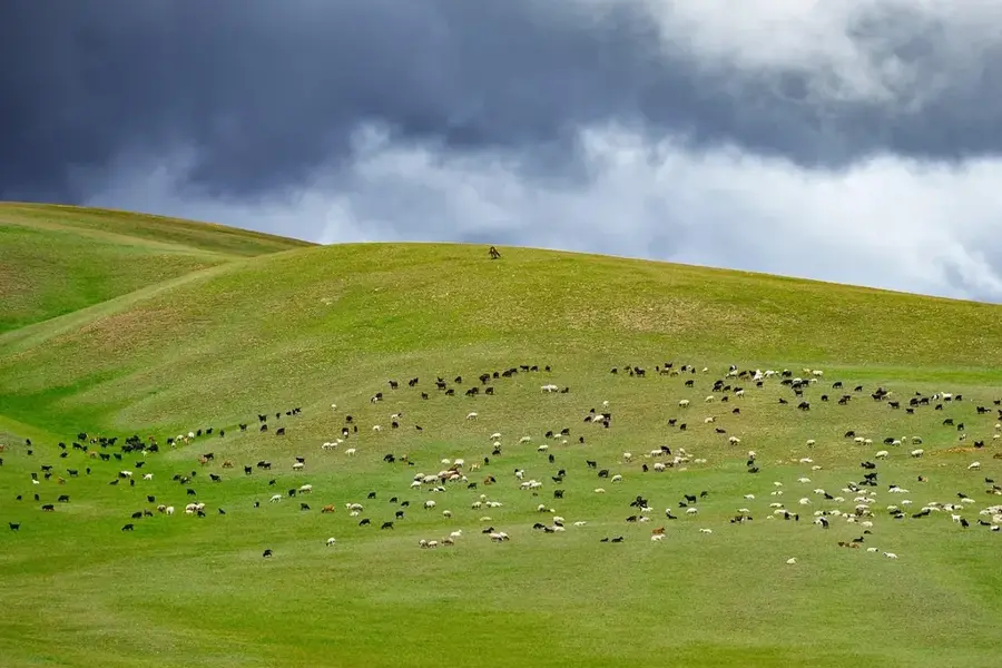 Gash-Barka grazing area — Barentu Mosque (Eritrea)