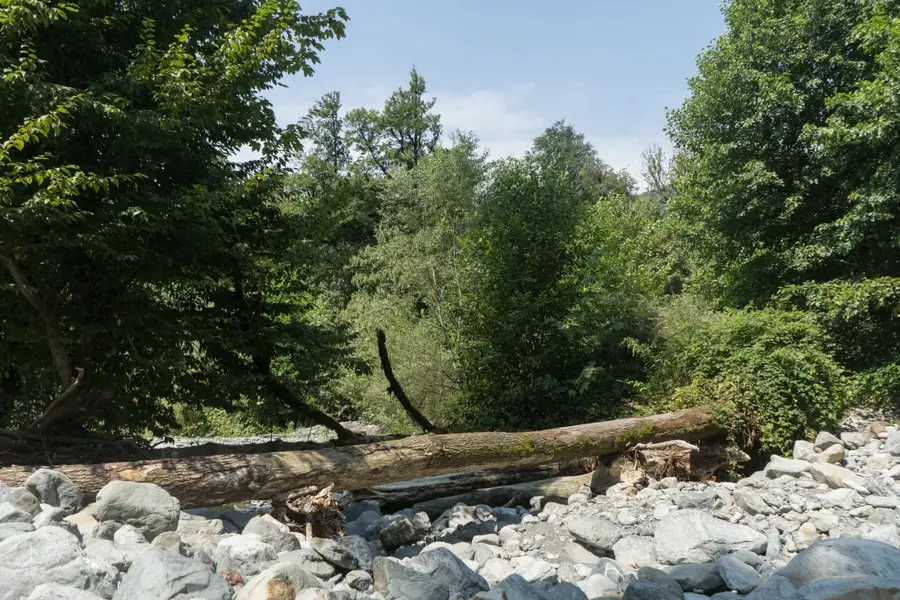 Lagodekhi Protected Areas