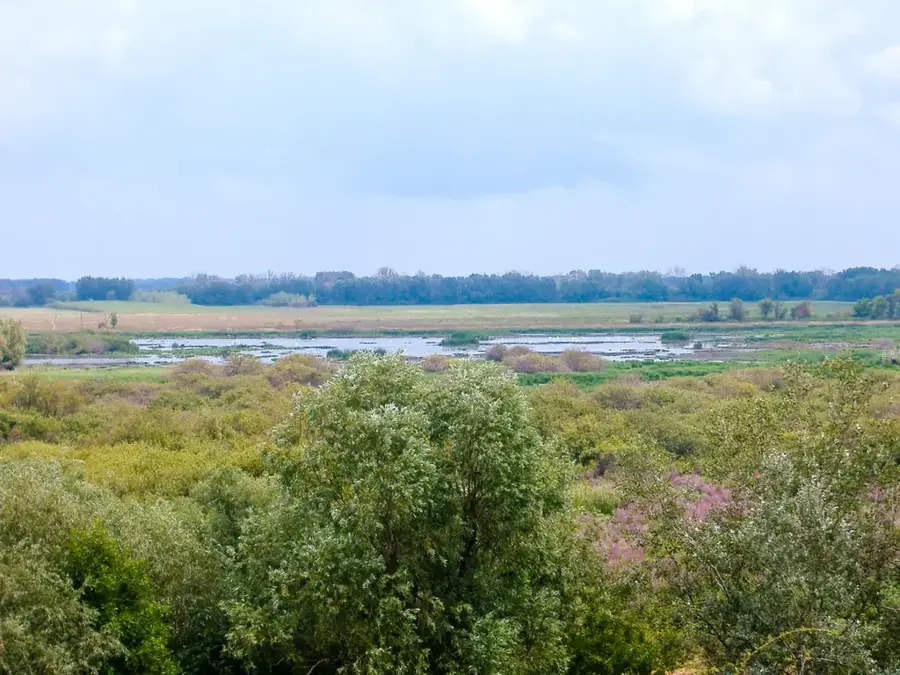 Kiskunság-Nationalpark — Paks (Ungarn)