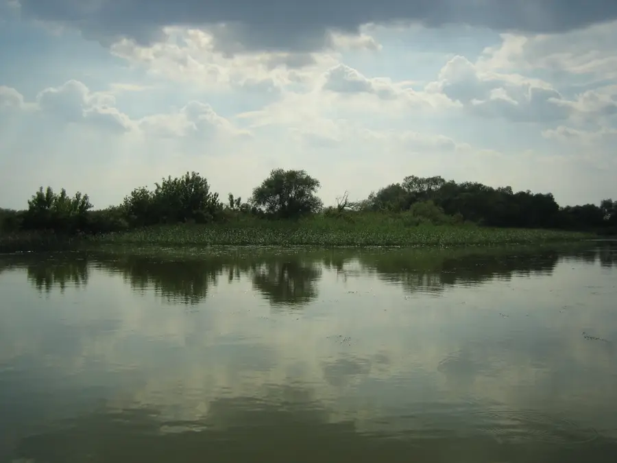 Theiß-See — Hortobágy (Ungarn)