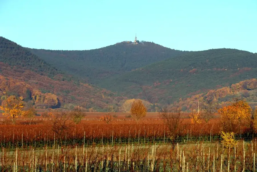 Haardt – mountain