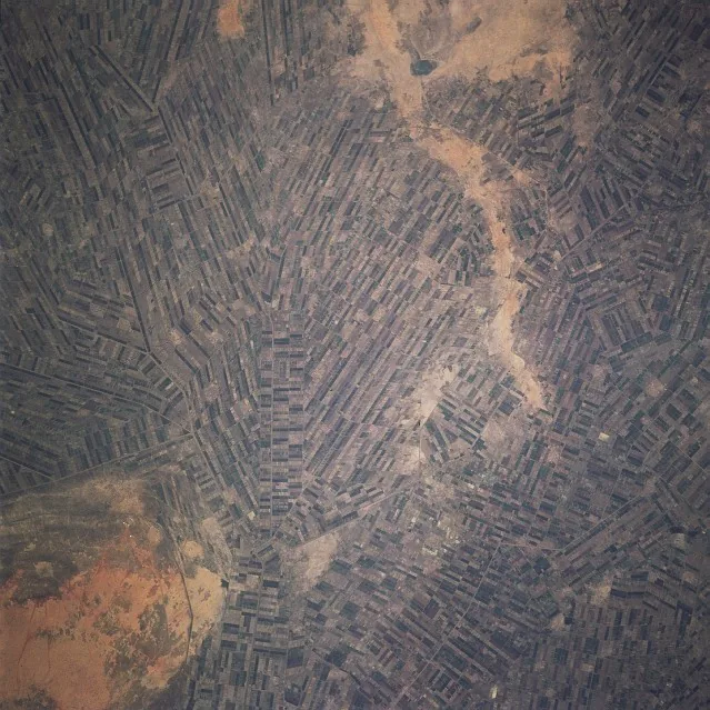 Gezira Scheme — Al-Kamlin (Sudan)