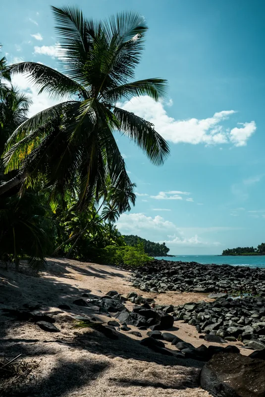 Francia Guyana Prefektúrája