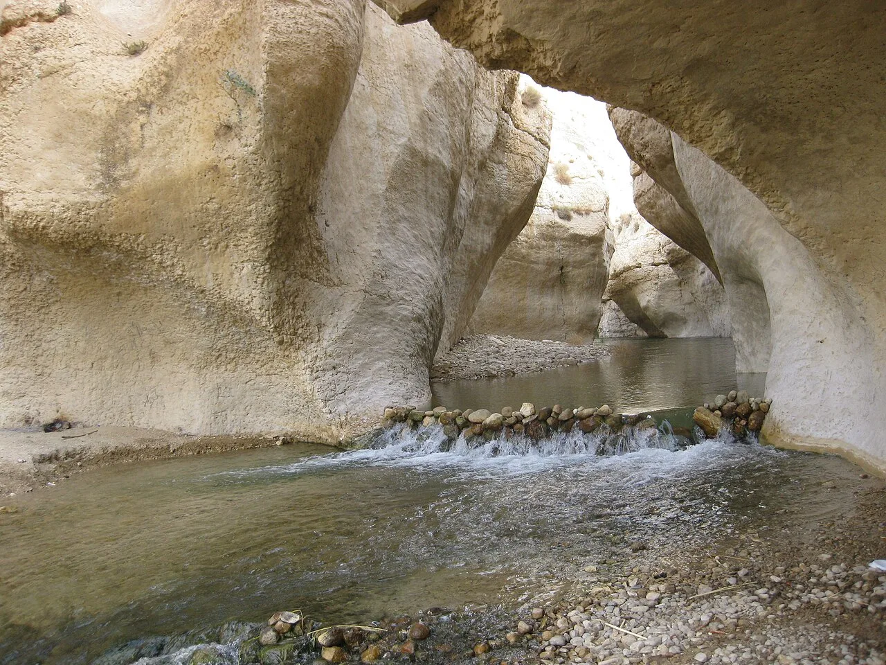Ghor Al-Safi Tomato Farms