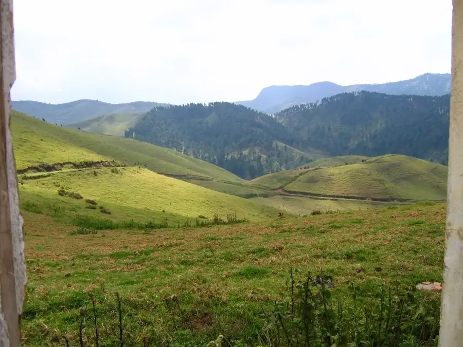 Gishwati-Mukura-Wald