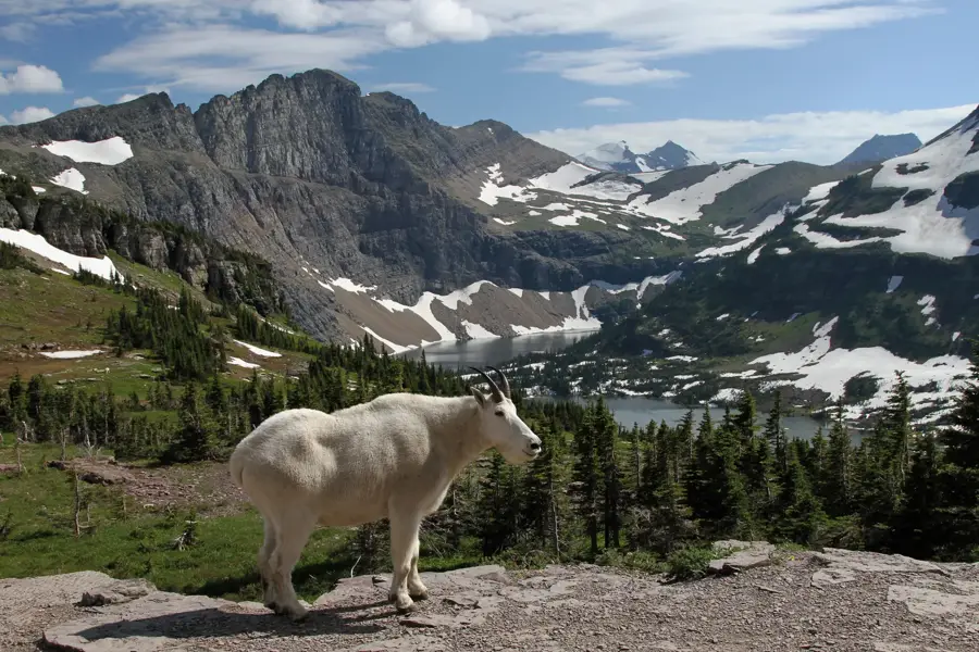 Glacier-Nationalpark — Little Bighorn Battlefield (USA)