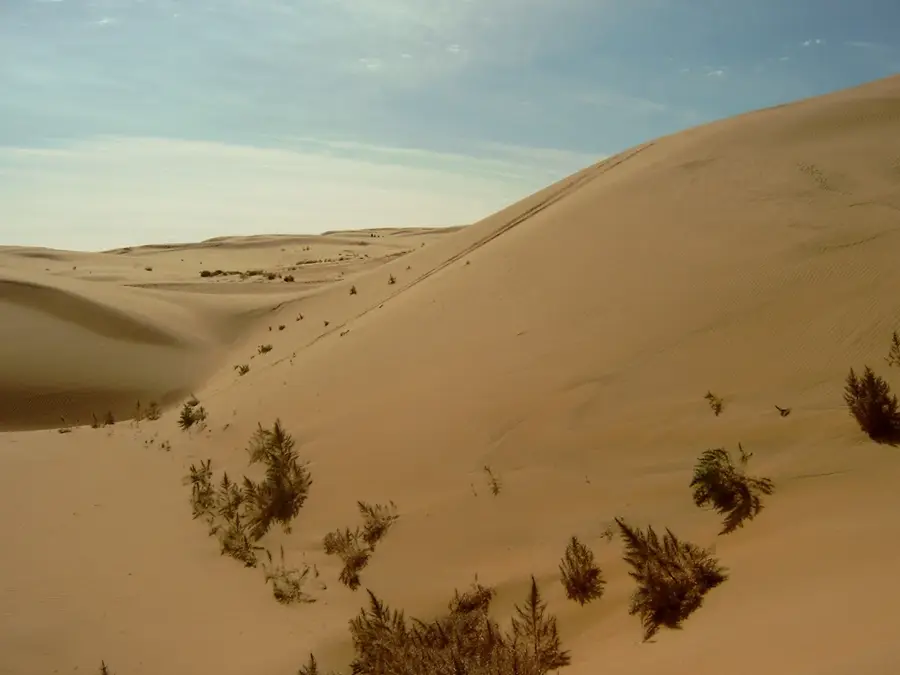 Wüste Gobi