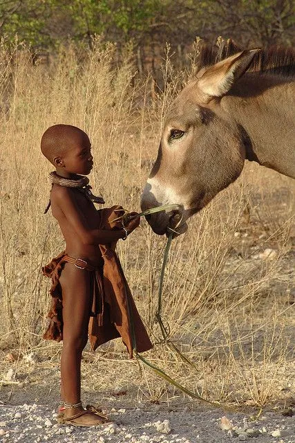 Gokwe