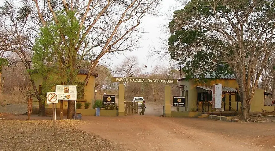 Mount Gorongosa
