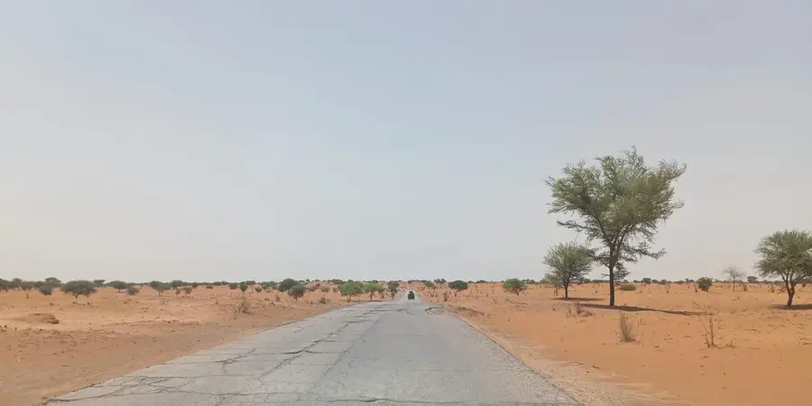 Goudoumaria