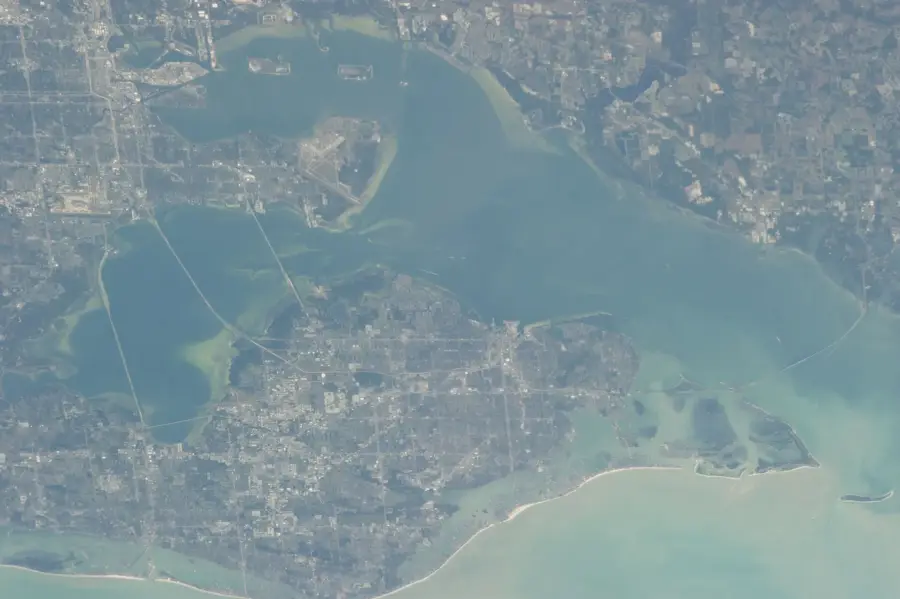 Grand Bahama's Pine Barrens — Freetown (Bahamas)