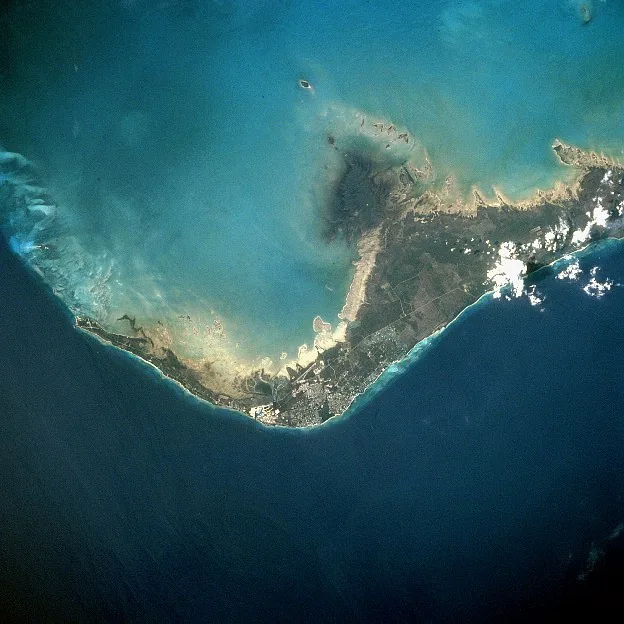 Pădurile de pini din Great Abaco — Spring City (Bahamas)
