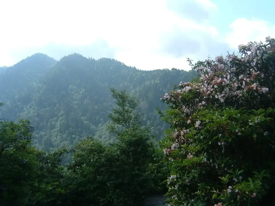 Parcul Național Great Smoky Mountains — Memphis (Statele Unite)