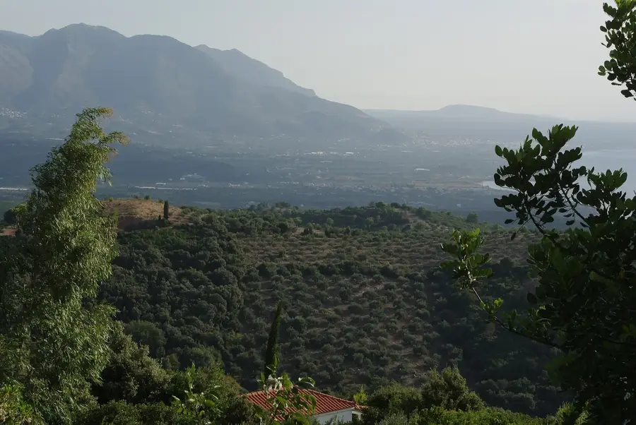 Agaliani