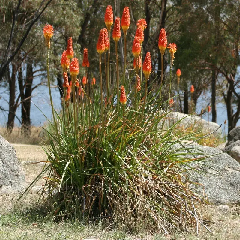 Botanical Garden in Agri