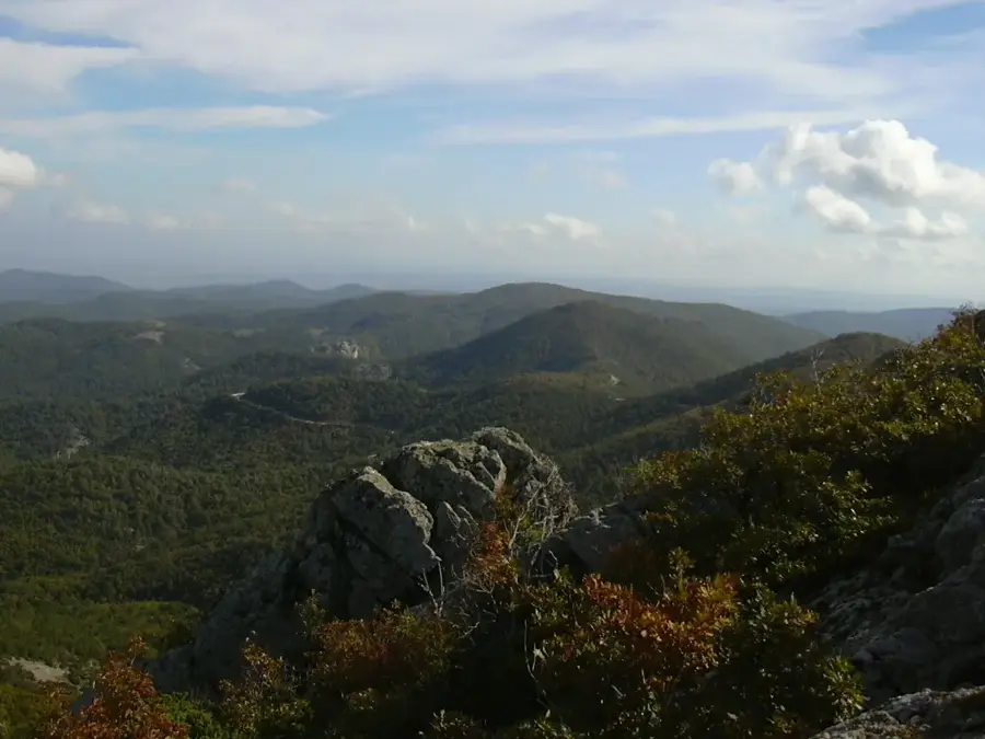Dadia Forest — Keşan (Turkey)