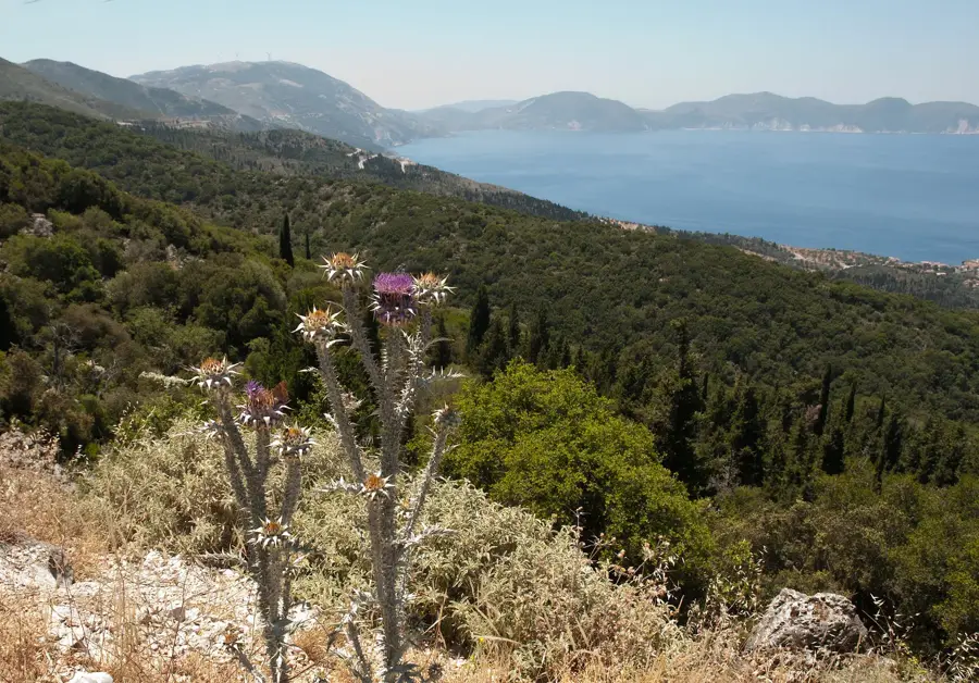 Farsa (Greece)
