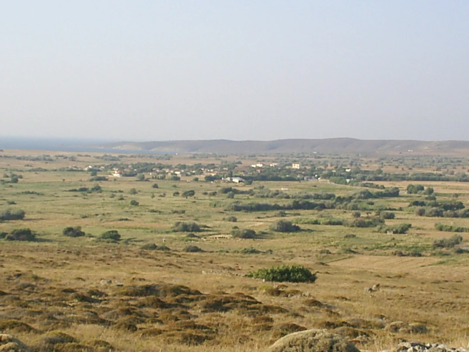 Fiszini