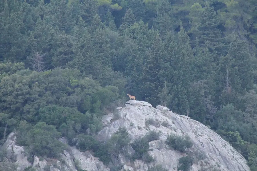Marathias — Igoumenitsa (Görögország)