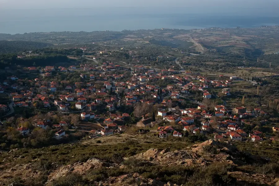 Maroneia