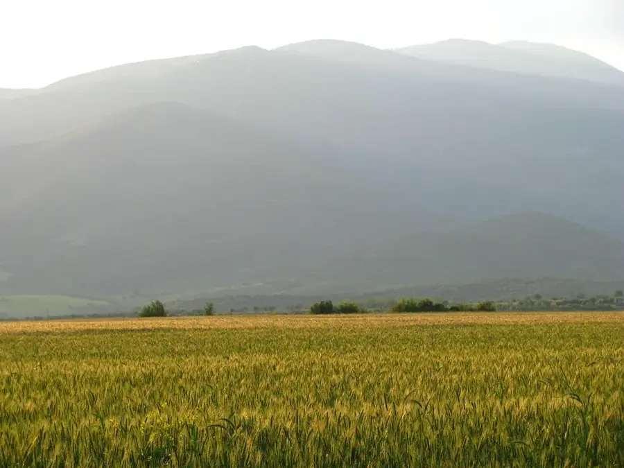 Paiko