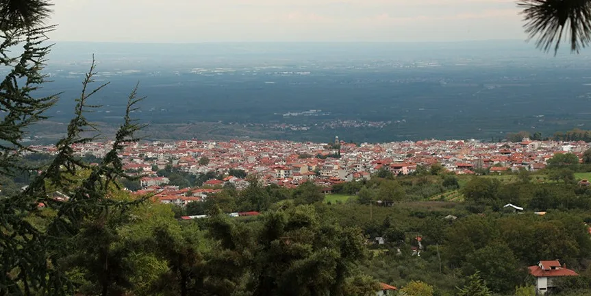 Nausza