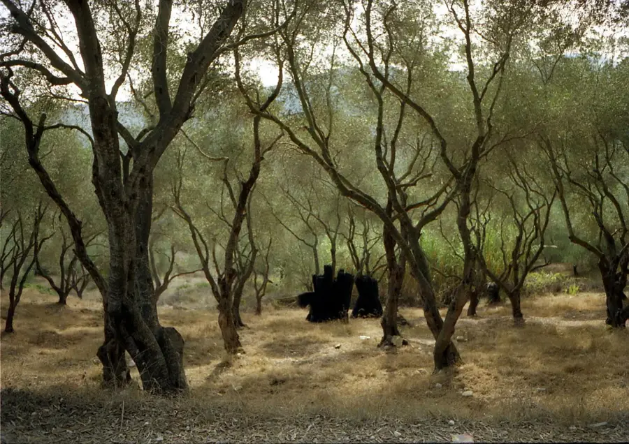 Neochori — Igoumenitsa (Görögország)