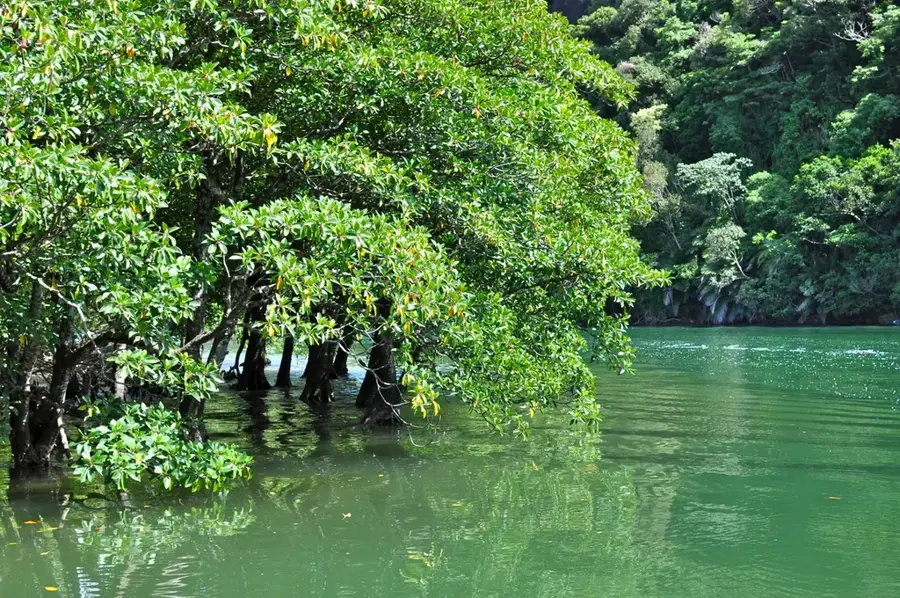 Oeta National Park