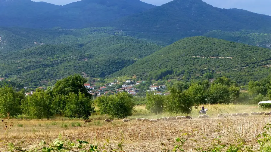 Pangaio (Paggaio)