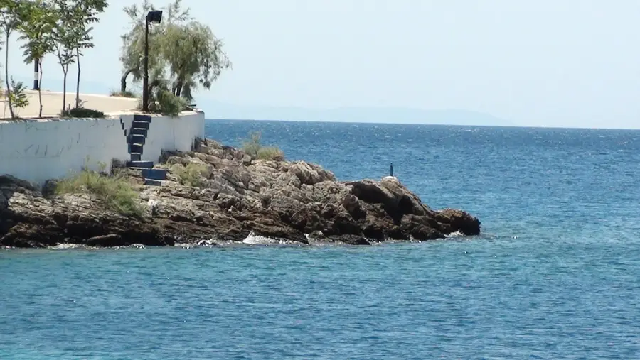 Skala Marion