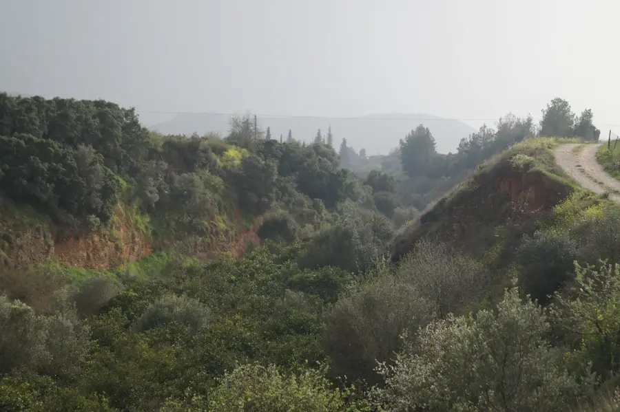 Tiryns