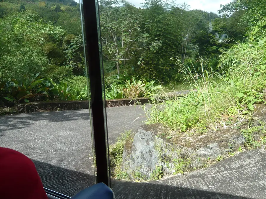 Fedon's Camp
