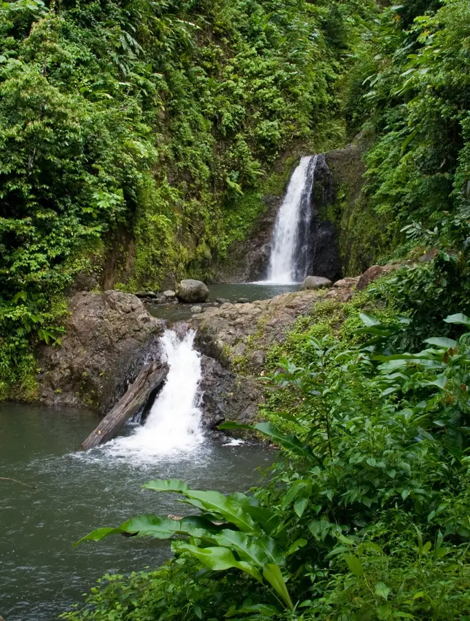 Mount Lebanon — Fedon's Camp (Grenada)