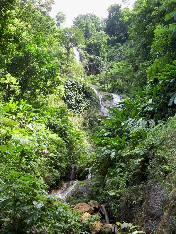 Tufton Hall Wasserfall — Fedon's Camp (Grenada)