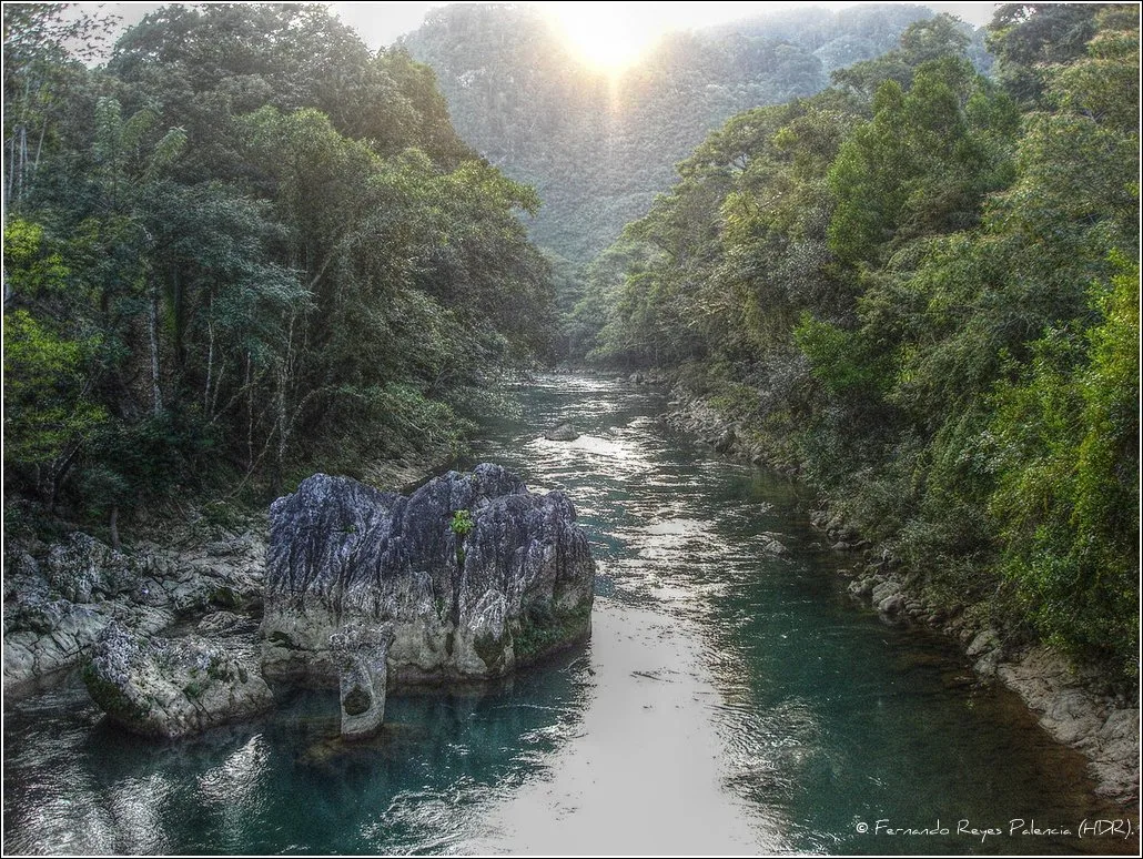 Dealurile de cardamom din Coban — Lanquín (Guatemala)