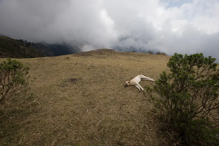 Vulcanul Pacaya — Cobán (Guatemala)