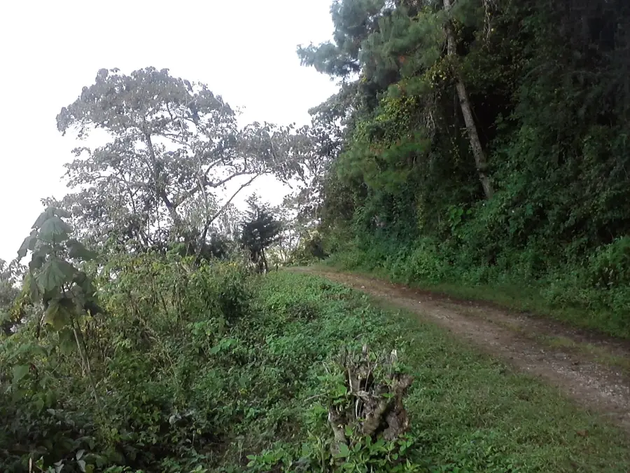 Procesarea păsărilor Guatemala — Barberena (Guatemala)