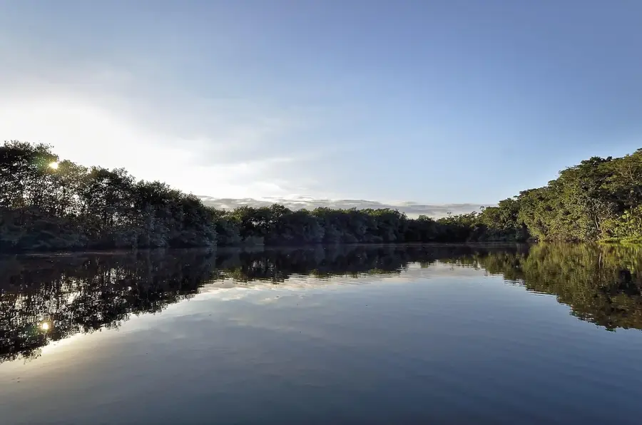 Rio Dulce Manatee Sanctuary