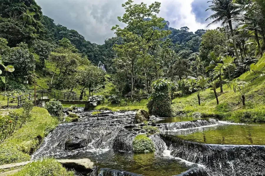 Ferme de vite Santa Rosa — Barberena (Guatemala)