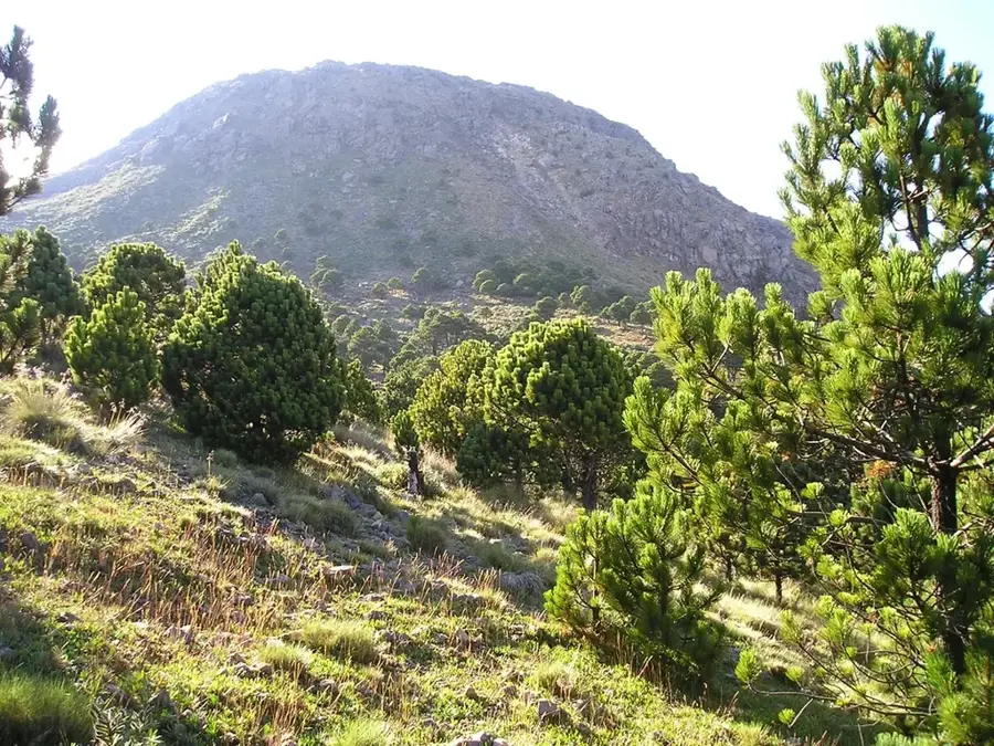 Volcan Tajumulco