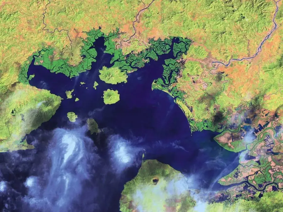 Gulf of Fonseca Mangroves — Conchagua (El Salvador)