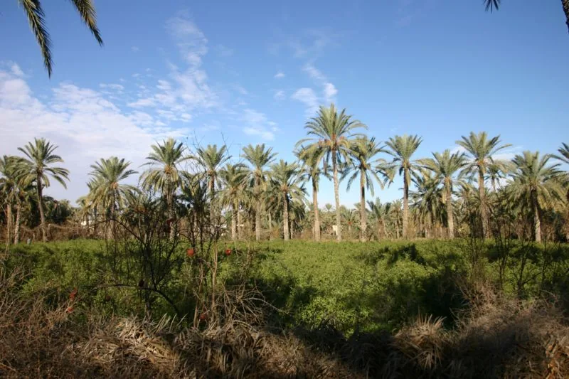 Gabes Coast — Kurmuk (Sudan)
