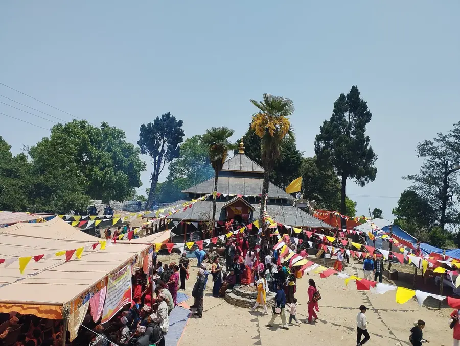 Kaffeeplantagen von Gulmi